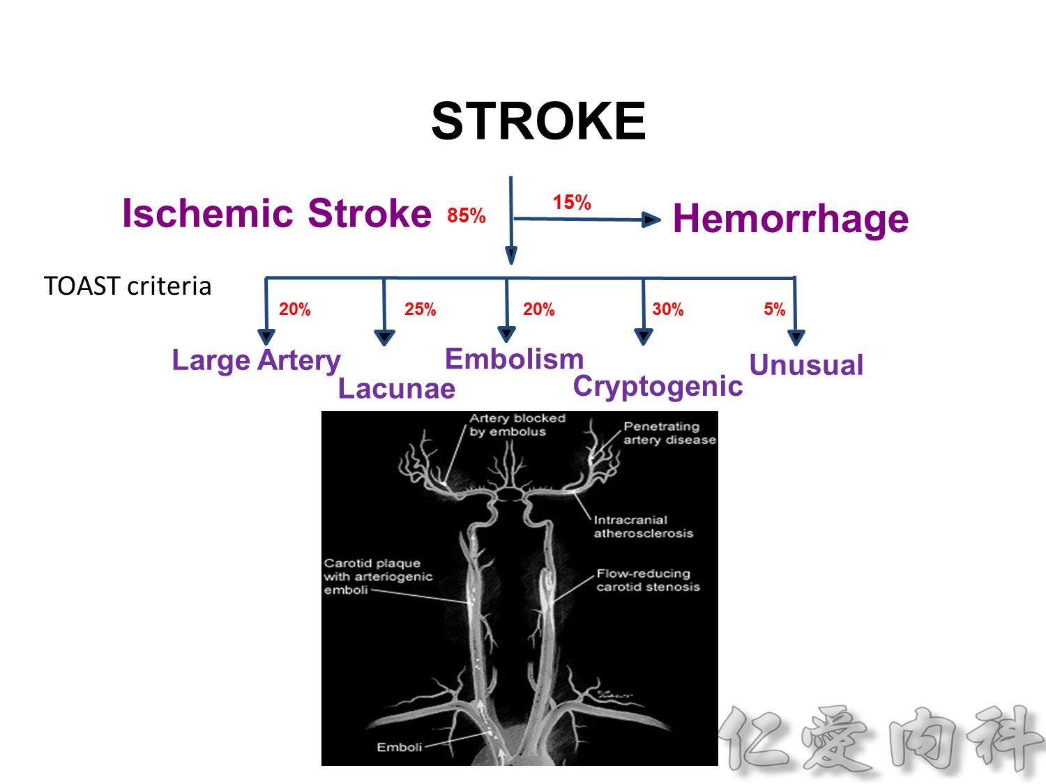 stroke - stroke-22.jpg
